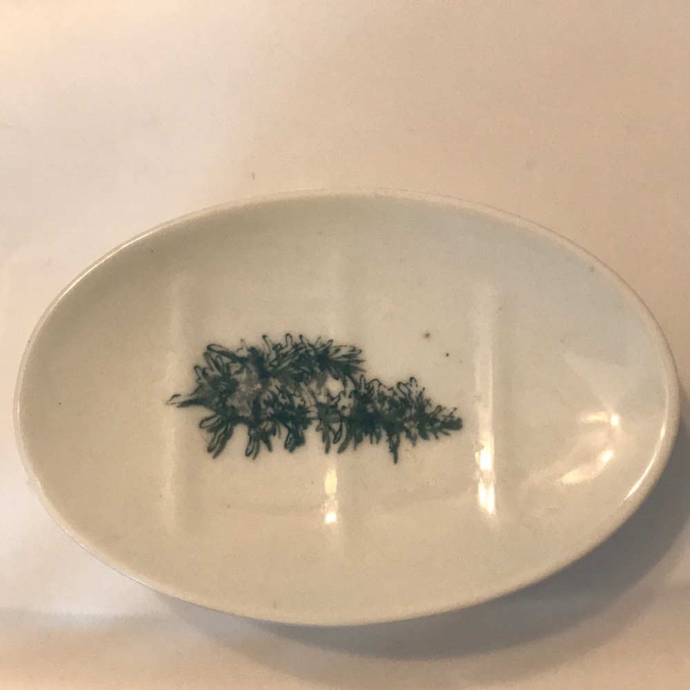 Soap Dish